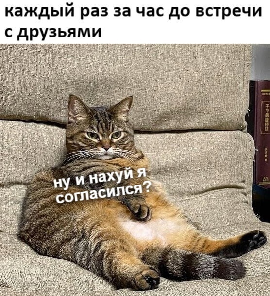 Так себе картинки 11.07.21
