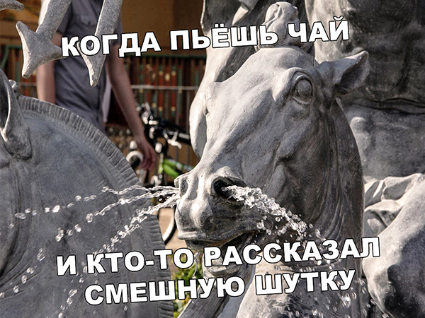 Картинки и мемы для настроения 02.08.2021