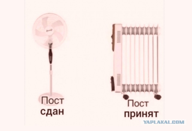 Так себе картинки 10.09.21
