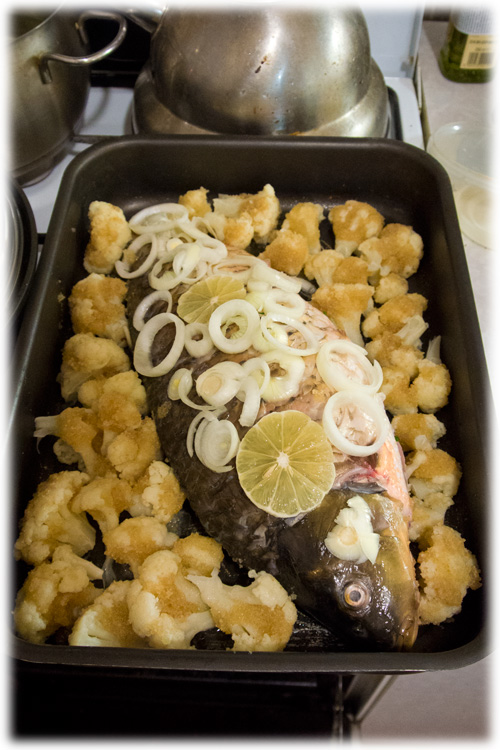 International одной книги., В память о Дженибеке.