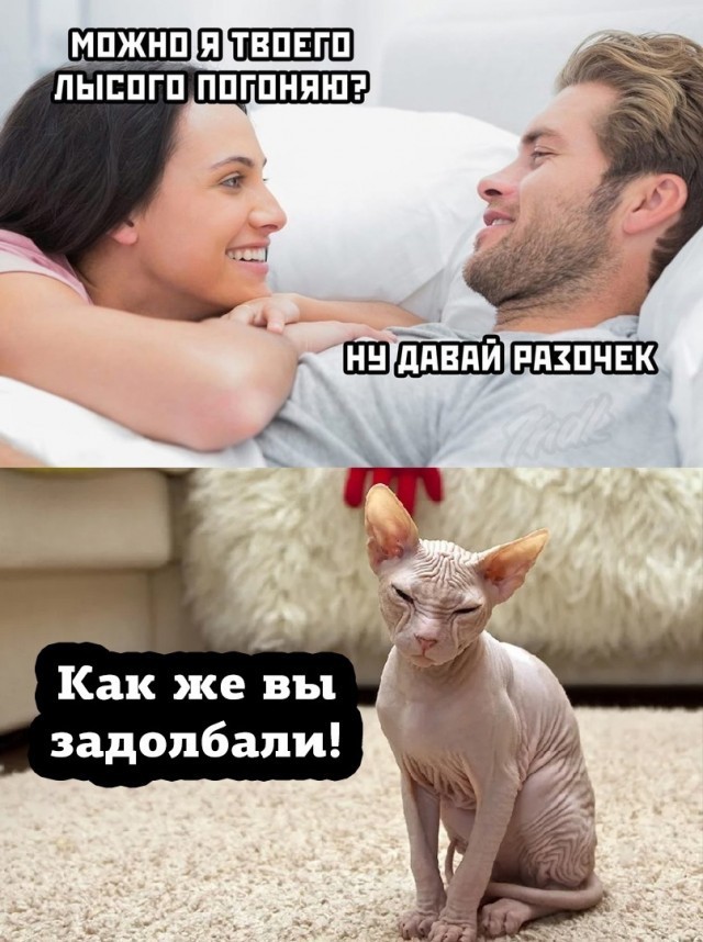 Всякие разные картинки 19.11.2021