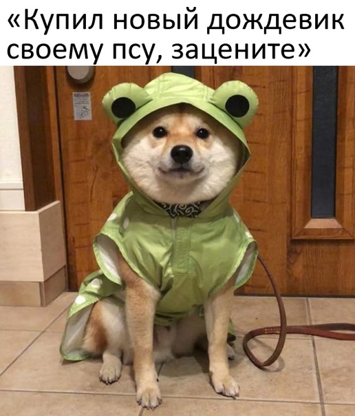 Картинки и мемы для настроения