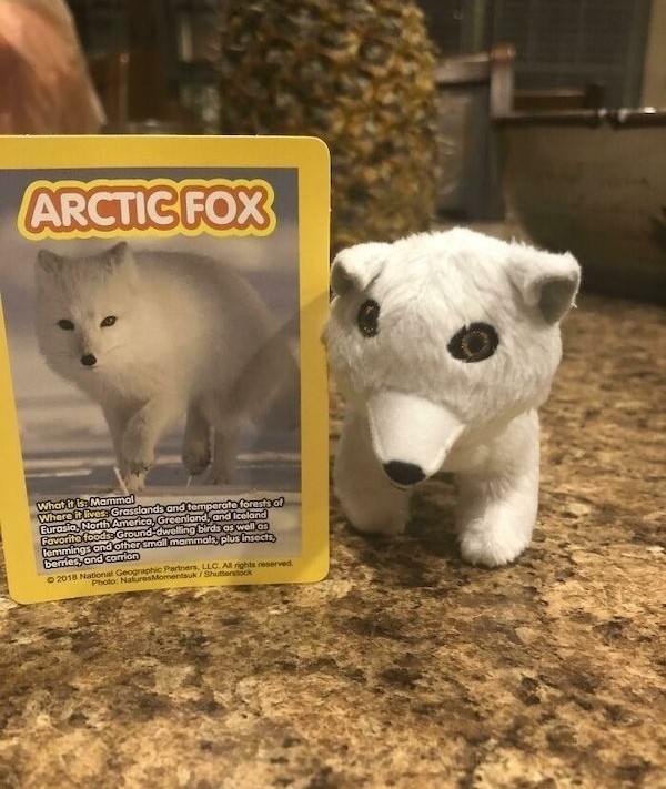 Игрушки странные бывают