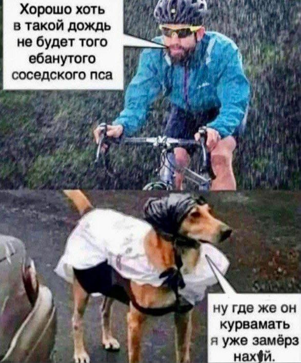 Так себе картинки 31.05.22