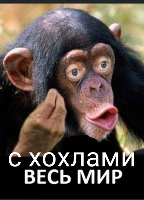 Украина хочет создать  в Гааге отдельный международный трибунал для президента РФ Владимира Путина