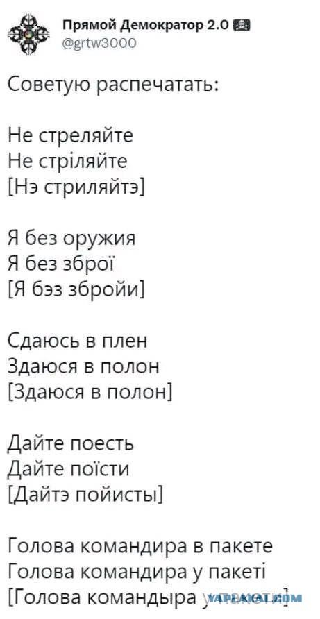 «Пап, пока звонить не буду, нас завтра закидывают»: что рассказывают родные погибших мобилизованных