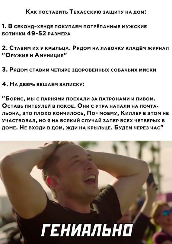 Весёлый полтишок  26.10.22