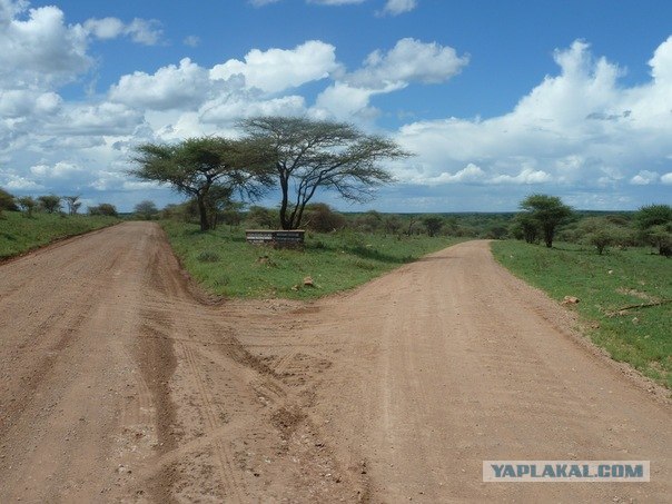 AFRICA - (Эфиопия,Кения,Танзация) 4-16 ноября 2011