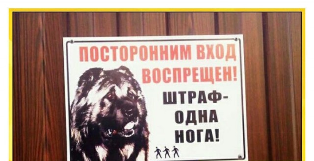 Весёлый полтишок 26.12.2022
