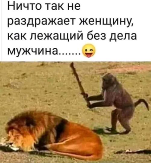 Картинки и мемы, всем хороших выходных