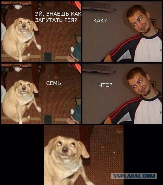 Народная меДИЧина 2002