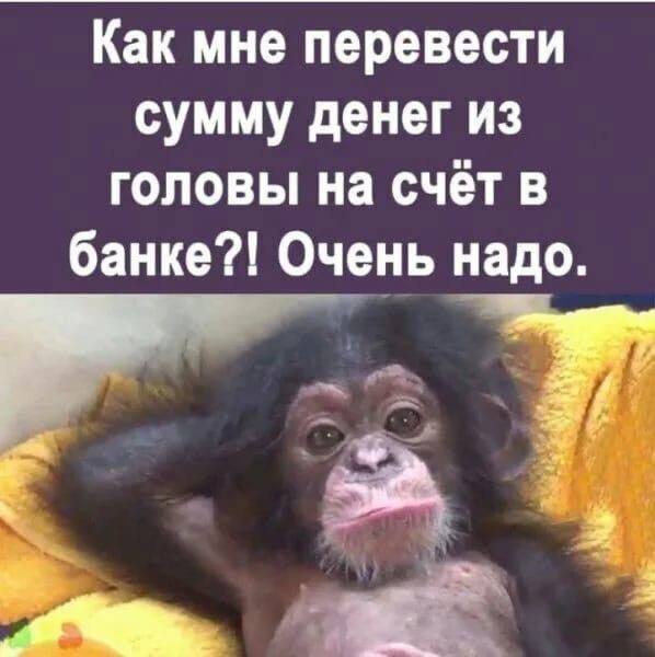Картинки и мемы, всем хороших выходных
