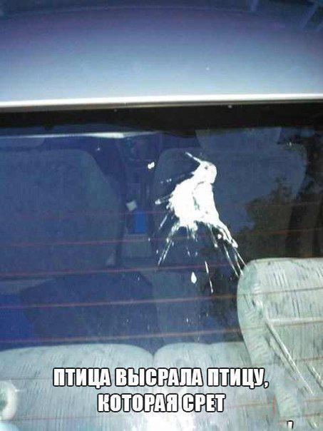16 обманывающих глаза снимков, которые играют с восприятием, заставляя присмотреться к ним повнимательнее