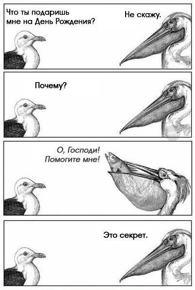 Купил жене подарок