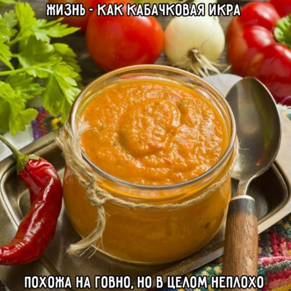 5 вещей, которые автор понял, когда в тридцать лет переехал в деревню