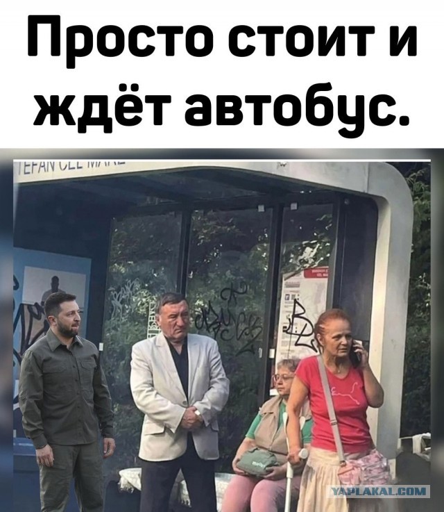 Зеленский – парочка жаб
