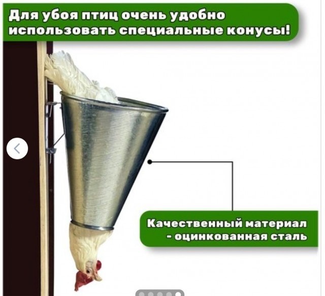 Взрослый и нагулявшийся мужчина хочет от женщины лишь одного — проживание с бесплатным уходом