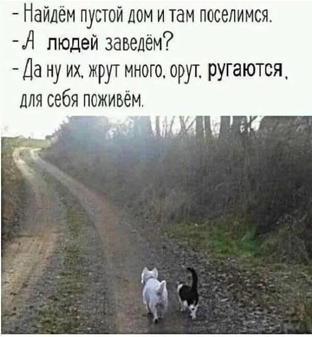 Веселые картинки к пятнице (26.07)