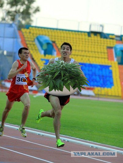 Моя первая фотжаба.