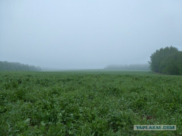 Коп по войне. Немного мистики. Когда мне, реально, было страшно