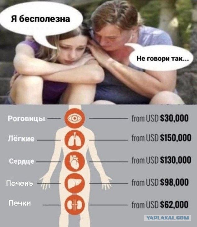 Забавные и не очень скромные картинки - 16