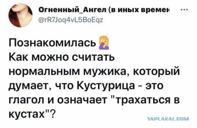 Веселые картинки в пятницу (05.12)