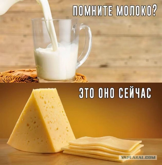 Дегрономикон 5