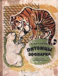 Детские книги из СССР