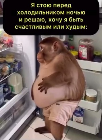 Картинки для деградации 184 (разной степени свежести)