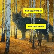 Немного чудес в этот понедельник.