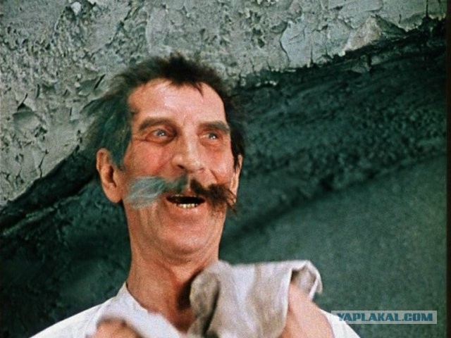 Дадим котику имя, коллеги?