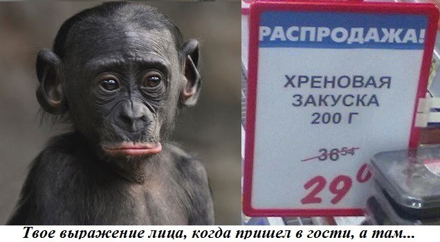 Веселое настроение в картинках 27.07.26