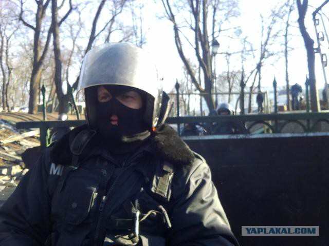 "Георгиевские " ленточки против флагов УПА