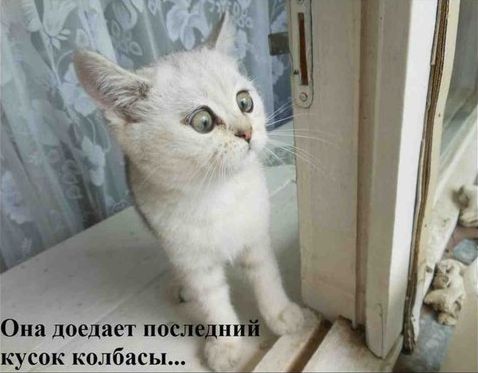 Не про олимпиаду