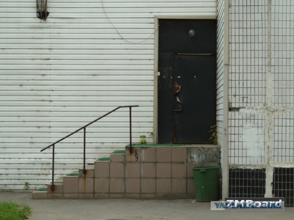 Черный волк