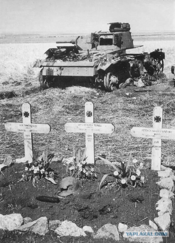 Wargaming 11