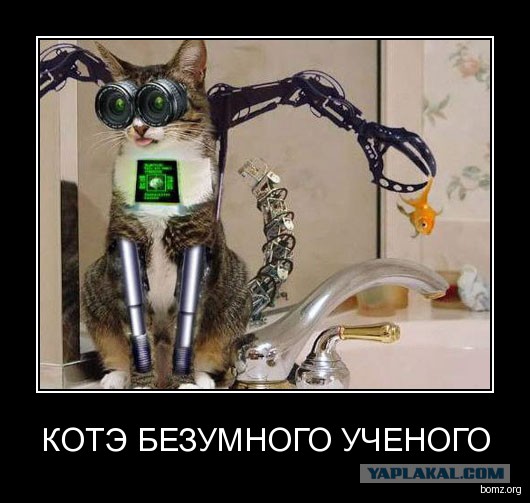 Испарение черных дыр