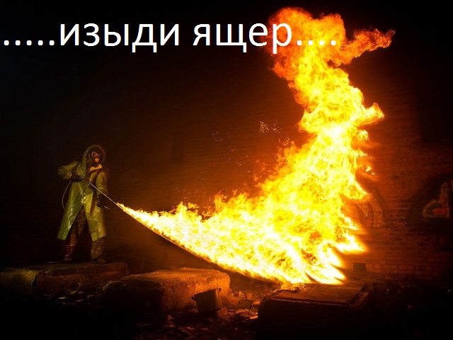 Как прогнать ящерицу из автомобиля?