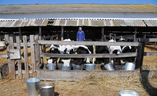 В Украине началась посевная