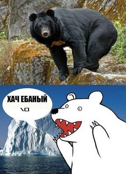 Черное и белое