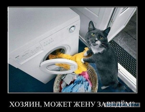 С миру по нитке. Демотиваторов чуть