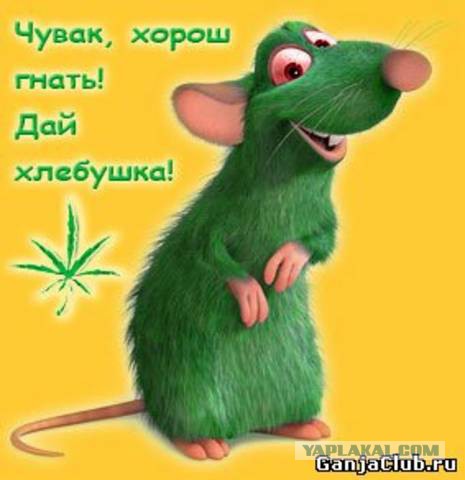 Когда вы плюсуeтe тему в платине