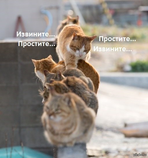 Поднимаем настроение