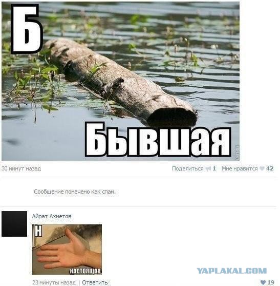 Смешные комментарии из социальных сетей