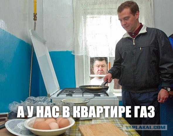 Фотожаба: Медведев жарит яишницу