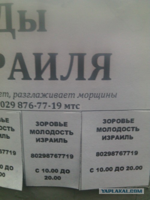 Последнее фото с Вашего телефона.