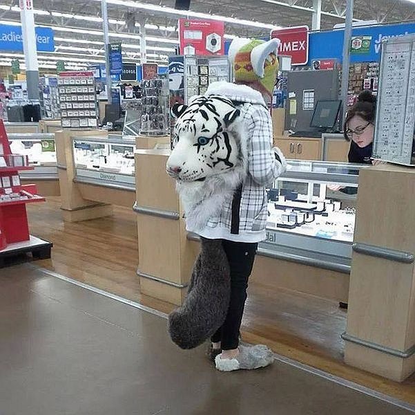 Весёлые картинки