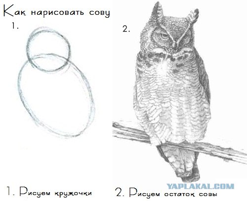 Как сделать оригами-дракона в 3 шага