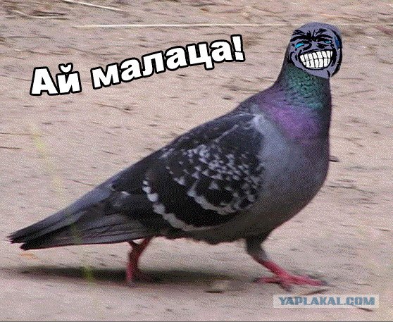 Забавный чувак из соц. сети