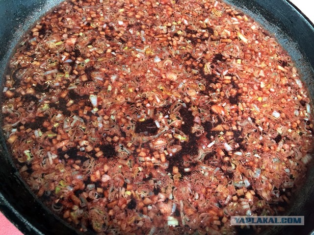 Коммунальные замУтки